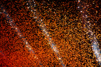 Falling Orange Confetties Falling Orange Confetties
