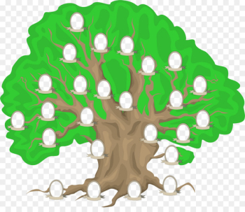 Family tree Genealogy painting - family tree 