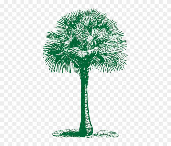 Fan, Outline, Palm, Tree, Plant, Automatic, Tropical - Palm Tree Beach Towel