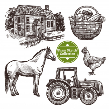 Farm hand drawn sketch set Free Vector Farm hand drawn sketch set Free Vector