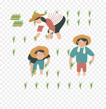 Farmer Rice transplanter uad6dub9bdub18duc0b0ubb3cud488uc9c8uad00ub9acuc6d0 Agriculture - Transplanting rice farmers 