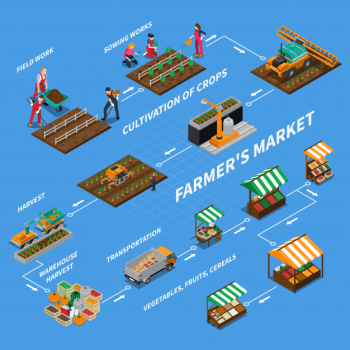 Farmers market flowchart concept Free Vector Farmers market flowchart concept Free Vector