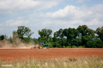 Farmland in Monroe County, Alabama. Original .. | Free public domain photo - 433835
