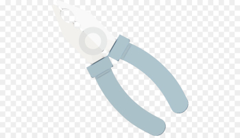 fashion accessory fashion accessory