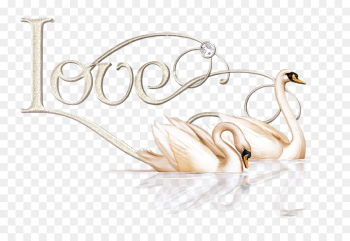 fashion accessory jewellery fashion accessory jewellery