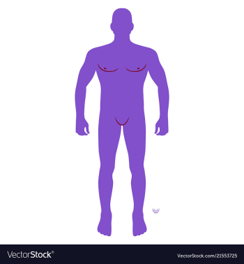 Fashion man body full length front view vector image Fashion man body full length front view vector image