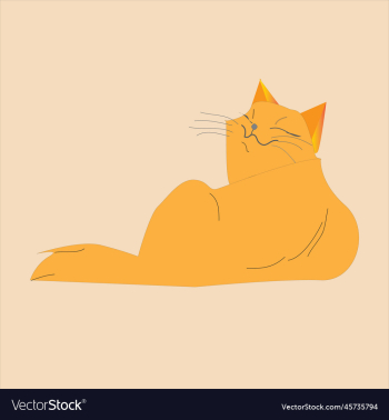 fat ginger cat fat ginger cat