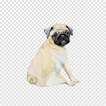 Fawn pug sitting illustration, Pug Puppy Watercolor painting Watercolour Flowers, puppy transparent background PNG clipart