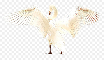 Feather