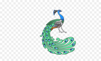 Feather Feather
