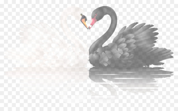 Feather Feather
