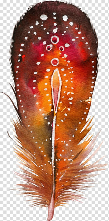 Feather Bird Color Drawing Painting, feather transparent background PNG clipart Feather Bird Color Drawing Painting, feather transparent background PNG clipart