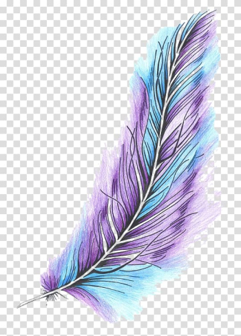 Feather Bird Color Quill Owl, feather transparent background PNG clipart Feather Bird Color Quill Owl, feather transparent background PNG clipart