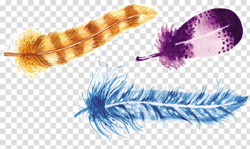 Feather Bird Euclidean , Colored feathers transparent background PNG clipart Feather Bird Euclidean , Colored feathers transparent background PNG clipart