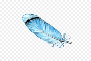 Feather Bird Watercolor painting Drawing - Blue Feather Feather Bird Watercolor painting Drawing - Blue Feather