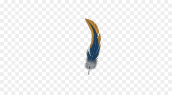 Feather Computer Wallpaper - Colored feathers Feather Computer Wallpaper - Colored feathers