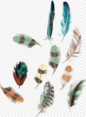 feather decoration PNG feather decoration PNG