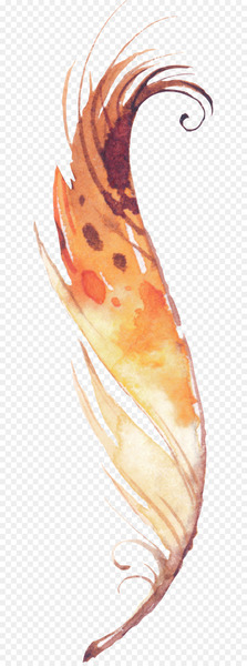 Feather Download - Hand-painted feathers Feather Download - Hand-painted feathers