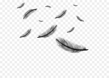 Feather, Drawing, Royaltyfree, Leaf PNG Feather, Drawing, Royaltyfree, Leaf PNG