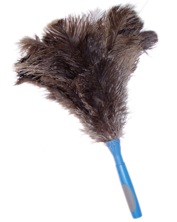 Feather Duster Png, png collections at sccpre.cat Feather Duster Png, png collections at sccpre.cat