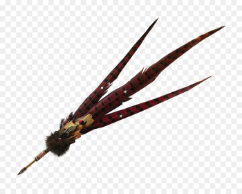Feather, Plant PNG Feather, Plant PNG