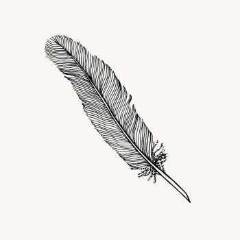 Feather quill drawing, vintage stationery | Free Vector - rawpixel