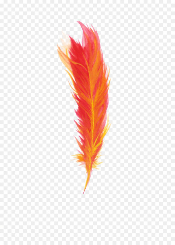 Feather Red - Red feathers Feather Red - Red feathers
