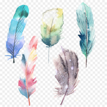 Feather Watercolor painting Blue - feather Feather Watercolor painting Blue - feather