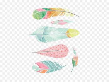 Feather Watercolor painting Drawing - feather Feather Watercolor painting Drawing - feather