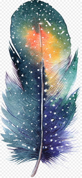 Feather Watercolor painting Drawing Illustration - feather Feather Watercolor painting Drawing Illustration - feather