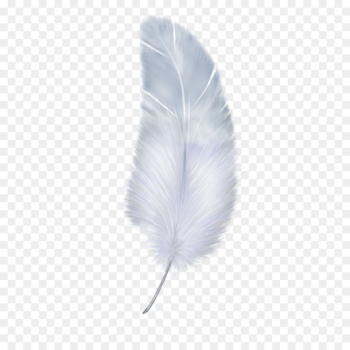 Feather Wing White - White feathers Feather Wing White - White feathers