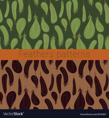 Feathers patterns vector image Feathers patterns vector image