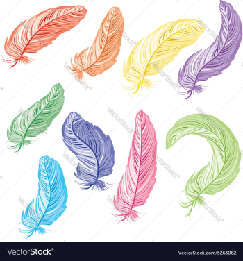 Feathers Set vector image Feathers Set vector image