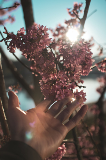 Feels like spring Feels like spring