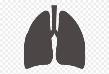 Feibu, Lungs, Medical Icon - Lungs Icon Png