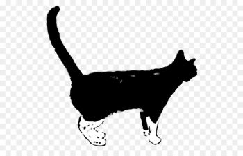 Felidae Black panther Aegean cat Kitten Tiger - shinji background 
