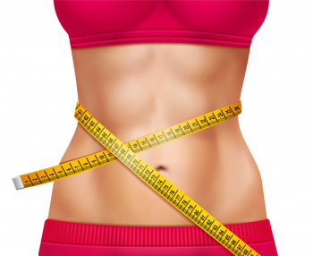 Female athletic waistline 3d illustration Free Vector Female athletic waistline 3d illustration Free Vector