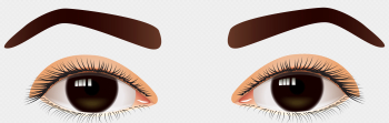 Female Brown Eyes PNG Clip Art - Best WEB Clipart Female Brown Eyes PNG Clip Art - Best WEB Clipart