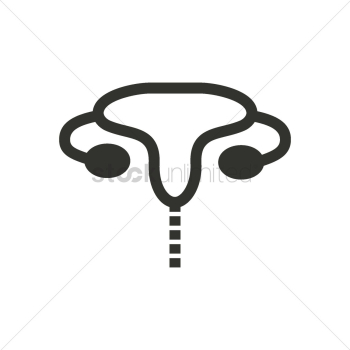 Female reproductive system Female reproductive system
