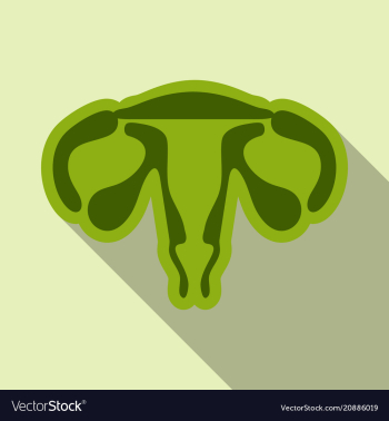 Female reproductive system human anatomy in flat vector image