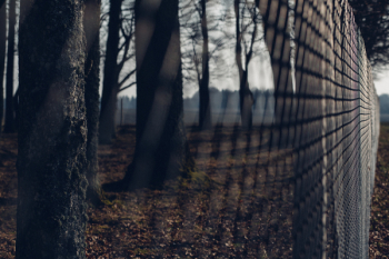 Fence 2 Fence 2