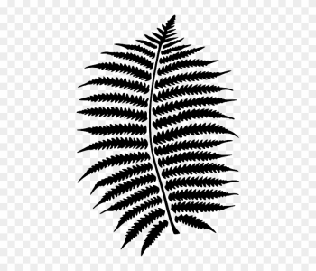 Fern, Forest, Leaf, Nature, Plant, Black, Pattern - Fern, Forest, Leaf, Nature, Plant, Black, Pattern