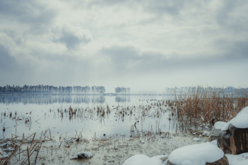 Field Covered With Snow Under White and Gray Skies Field Covered With Snow Under White and Gray Skies