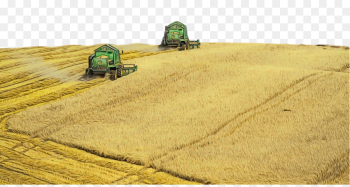 field farm harvest agriculture grass family field farm harvest agriculture grass family