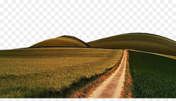 field natural landscape grass hill grass family field natural landscape grass hill grass family
