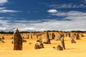 field of rocks field of rocks