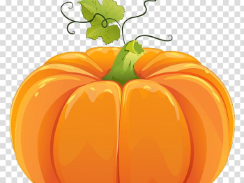 Field pumpkin graphics Portable Network Graphics, snake in sand transparent background PNG clipart