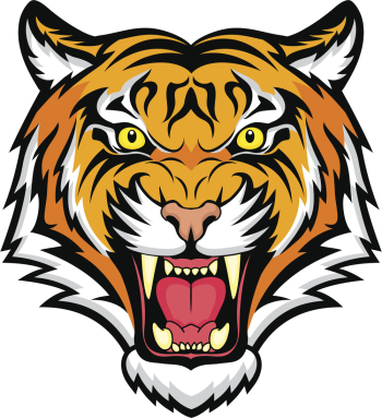 Fierce Tiger Head Illustration Fierce Tiger Head Illustration