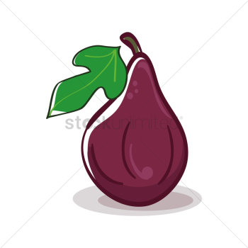 Fig Fig