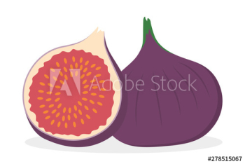 Fig fruit Fig fruit